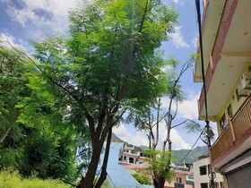 Hotel Krishna