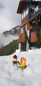 Countryside Villa
