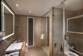 Nirvana Sarovar Portico