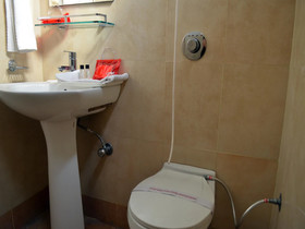 Hotel Malik Residency