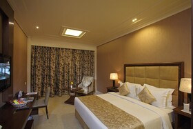 Hotel Godwin Meerut