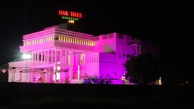 Oak Tree by Golden Plate