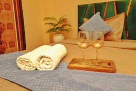 Roomshala  Premium Inn Noida