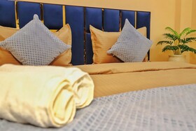 Roomshala  Premium Inn Noida