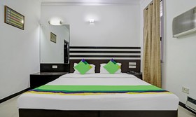 Treebo Trend Exotica