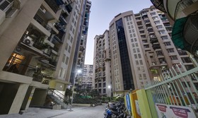 Treebo Trend Exotica