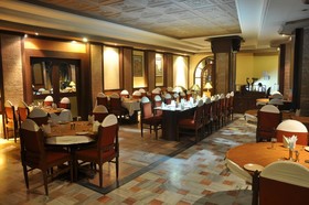 Pallavi International