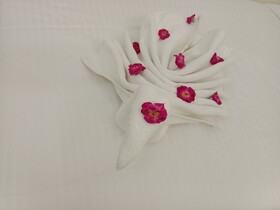 Shree Shivay Namastubhyam Hotel