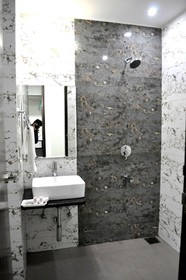 Hotel The Royal Bharti