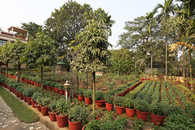 Rater Tara Diner Rabi by OYO Rooms