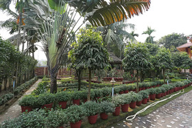 Rater Tara Diner Rabi by OYO Rooms