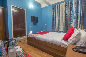 Hotel Palkyi by OYO Rooms