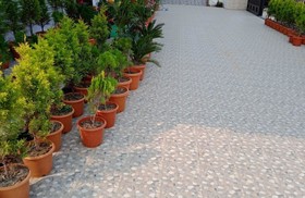 Hotel Dayal International