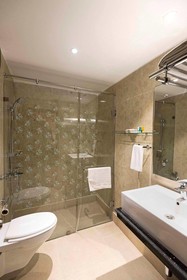 Regenta Inn, Larica, Kolkata