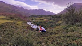 Stora Sandfell Rooms and Cottages