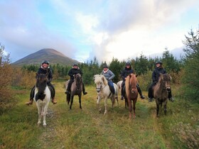 Stora Sandfell Rooms and Cottages