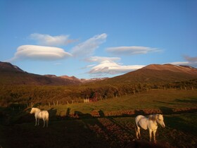 Stora Sandfell Rooms and Cottages