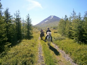 Stora Sandfell Rooms and Cottages