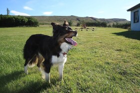 Guesthouse Steindórsstadir