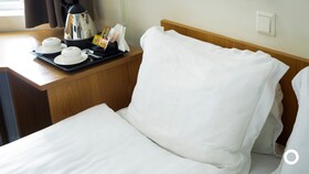 Centerhotel Skjaldbreid