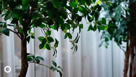 CenterHotel Thingholt