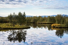 Lake Thingvellir Cottages