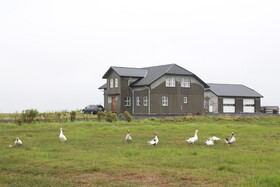 Maria Lovisa Guesthouse