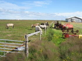 Maria Lovisa Guesthouse