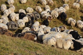 Helgafell Farmhouse