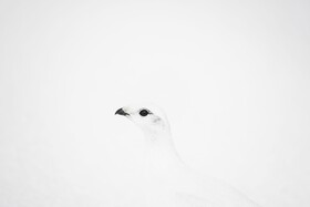 Sudavik Guesthouse