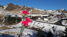 Ársalir Guesthouse