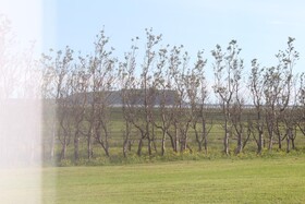 Skammidalur Guesthouse