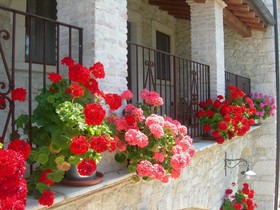 Agriturismo Il Portone