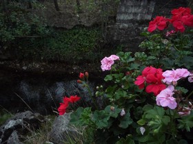 Il Giardino del Rio