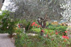 B&B Mariposa
