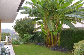 B&B Mariposa