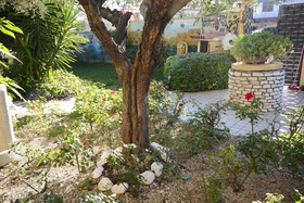 B&B Mariposa