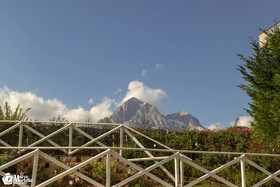 Ristorante Hotel Pina