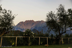 Ristorante Hotel Pina