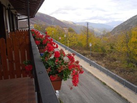 Ginepro D'Abruzzo