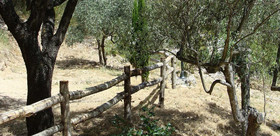 Al Casolare