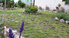 Pacentro Bed and Breakfast