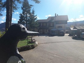 Hotel Pinguino