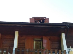 Hotel Pinguino
