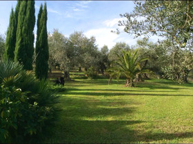 Villa L'Anfora