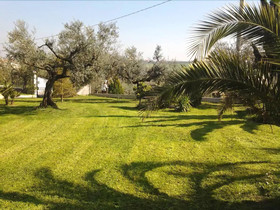 Villa L'Anfora