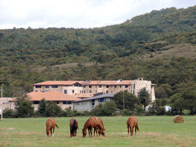 Aqua Montis Resort & Spa