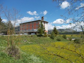 Hotel Holidays