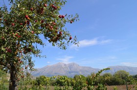 Villa Palentina Country House