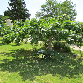 Azienda Agrituristica Madonna degli Angeli